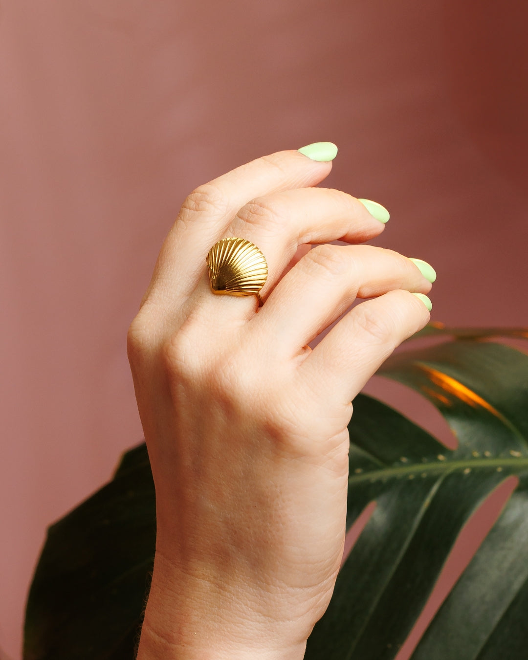 Anillo concha