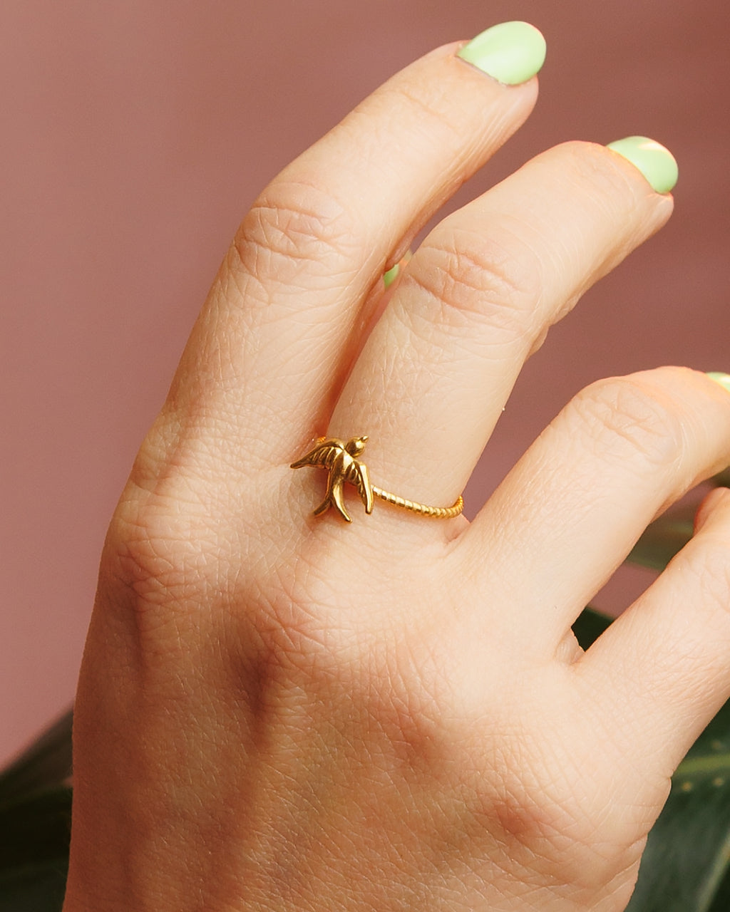 Anillo de pájaro
