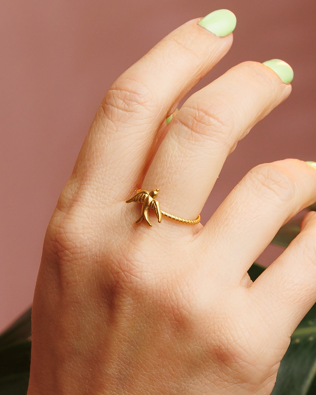 Anillo de pájaro