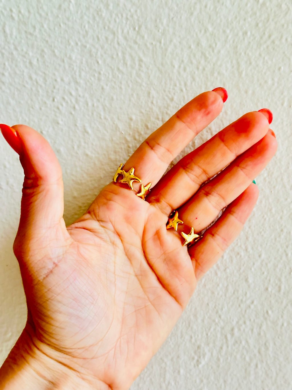 Anillo de muchas estrellas de mar