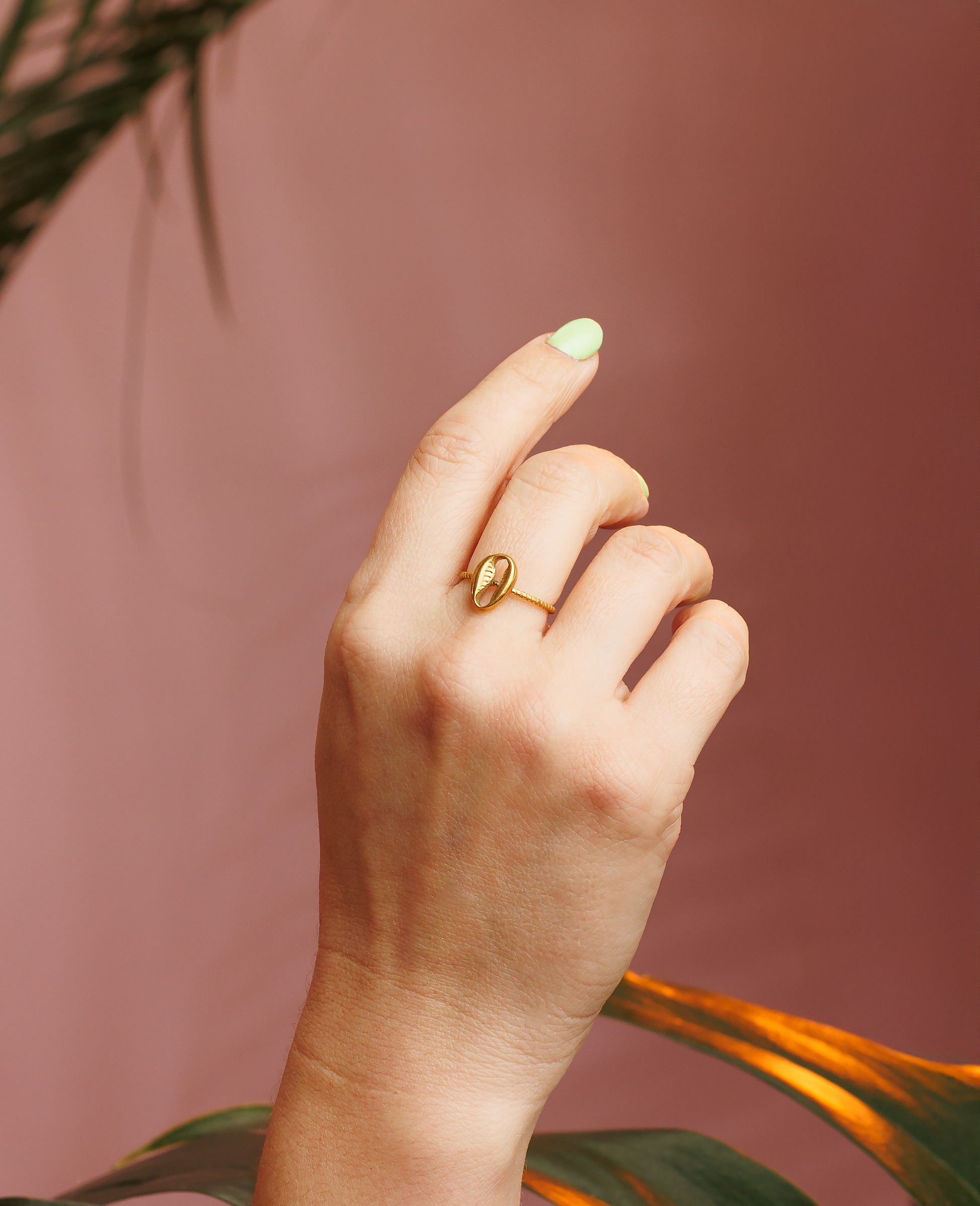 Anillo de caracol