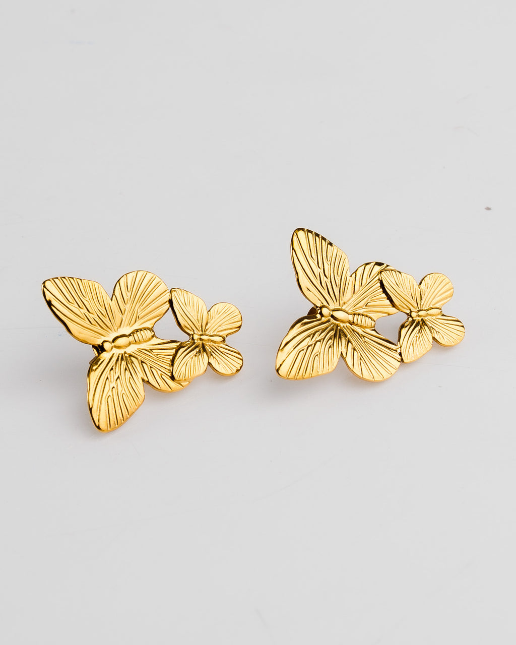 Pantallas grande de mariposas